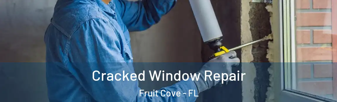  Cracked Window Repair Fruit Cove - FL