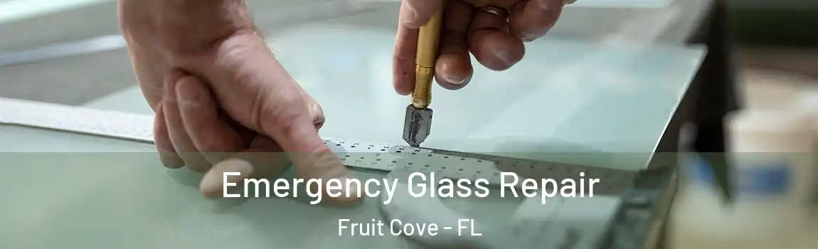  Emergency Glass Repair Fruit Cove - FL
