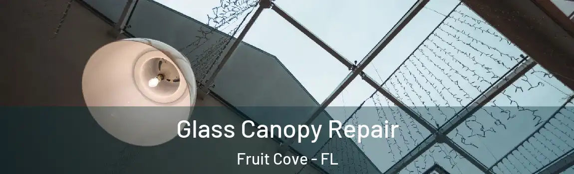 Glass Canopy Repair Fruit Cove - FL