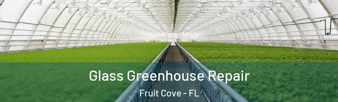 Glass Greenhouse Repair Fruit Cove - FL