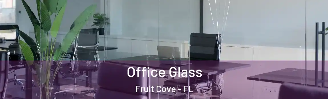  Office Glass Fruit Cove - FL