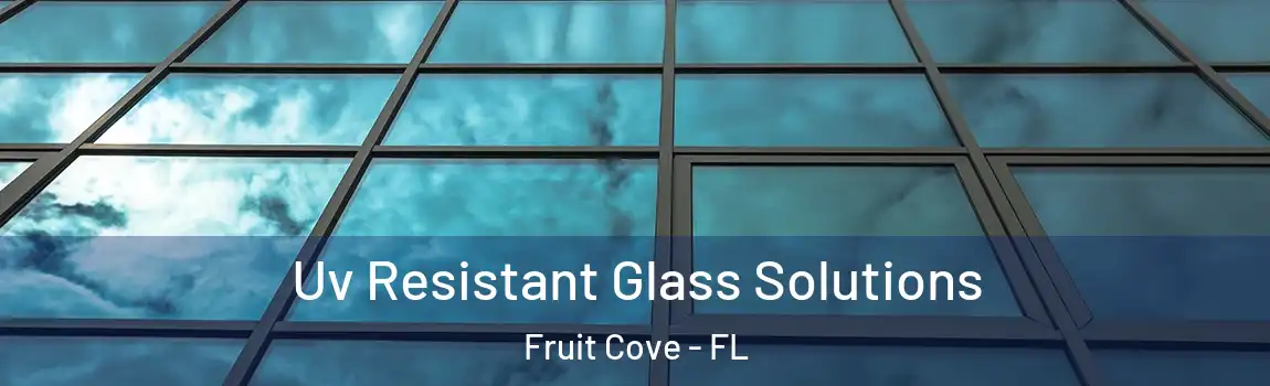  Uv Resistant Glass Solutions Fruit Cove - FL