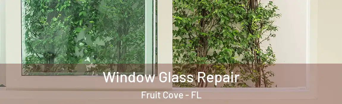 Window Glass Repair Fruit Cove - FL