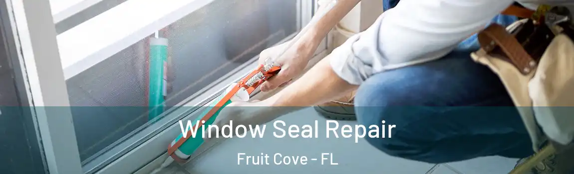 Window Seal Repair Fruit Cove - FL